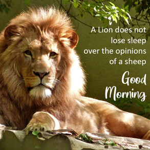 good-morning-quote-with-lion
